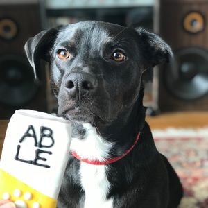 Meet your Posher, Bridget